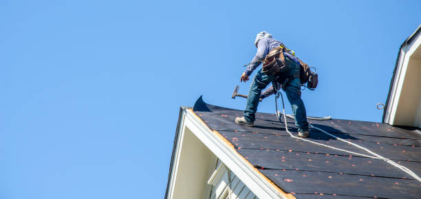 Best Roof Gutter Cleaning  in Tiffin, OH